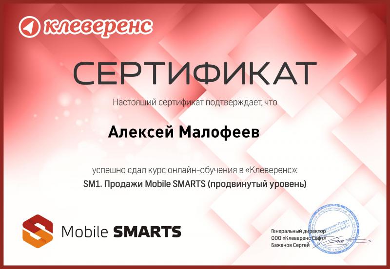 SM1. Продажи (продвинутый уровень)