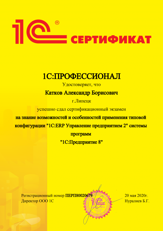 1С:Профессионал. ERP Управление предприятием 2 Катков Александр