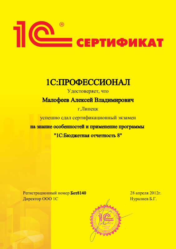 1С:Профессионал. Бюджетная отчетность 8